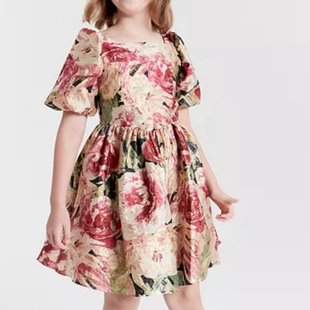 Rare Editions‎ Big Girls Floral Organza Dress Size 14